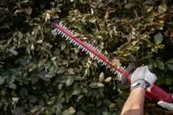גוזם גדר חיה חשמלי נטען 20V Brushless אורך להבים 45 ס"מ + קוצץ קנטים חשמלי טלסקופי נטען 20V + סוללה 2.0Ah +מטען SKIL