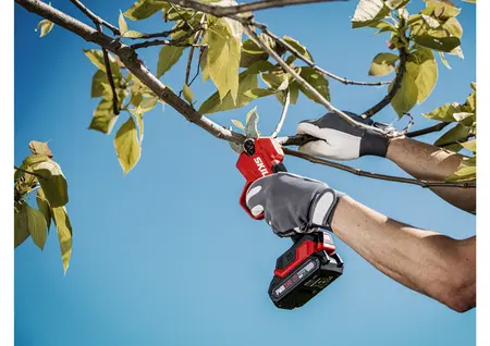 מזמרה נטענת XP 20V Brushless (מספרי גיזום) לחיתוך ענפים עד קוטר 28 מ"מ SKIL