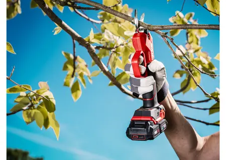 מזמרה נטענת XP 20V Brushless (מספרי גיזום) לחיתוך ענפים עד קוטר 28 מ"מ SKIL