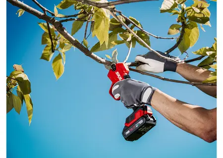 מיני מסור שרשרת חשמלי נטען Brushless + מזמרה נטענת XP 20V Brushless + סוללה 4.0Ah + מטען מהיר + תיק נשיאה גדול SKIL