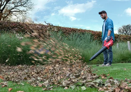 מפוח עלים חשמלי נטען 20V Brushless + קוצץ קנטים חשמלי טלסקופי נטען 20V קוטר 25 ס"מ ראש מתכוונן מלא + סוללה 2.0Ah +מטען SKIL